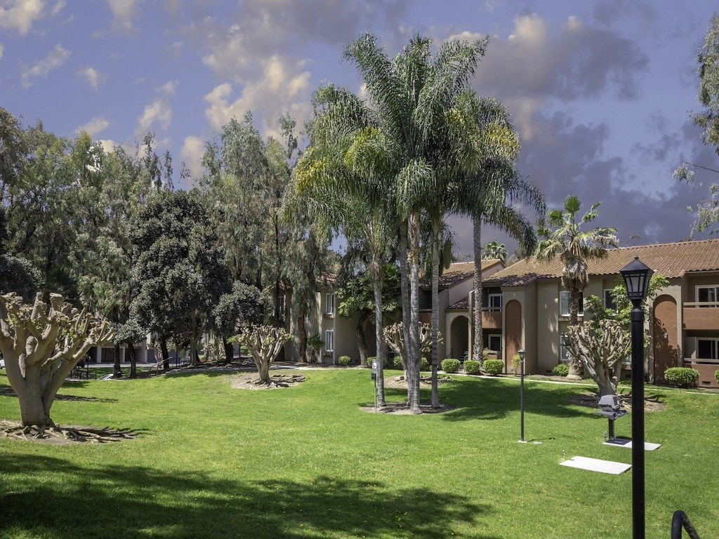 Grassy Area at Eucalyptus Grove Apartments