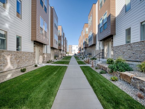 Green Grass Throughout The Amber