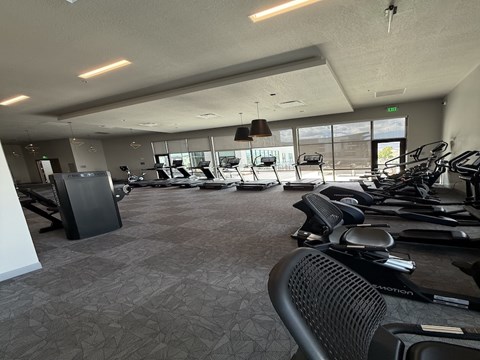 A gym with a variety of exercise equipment.