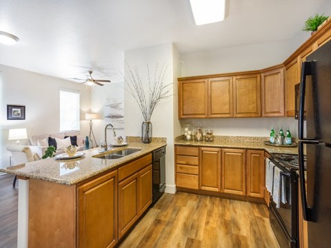 a kitchen with wooden cabinets and granite counter tops and a sink
