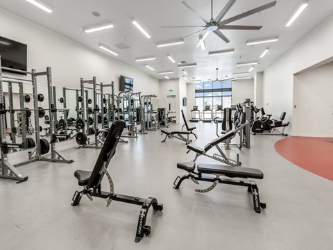 Large Fitness Center at The Arza Apartments Large Fitness Center at The Arza Apartments