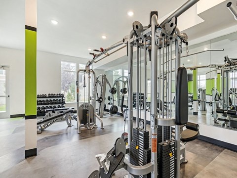 Large Machines in Gym at The Reserve at View 78