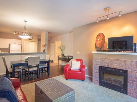 Open Living  With Fireplace at Metropolitan Collection Apartments, Washington