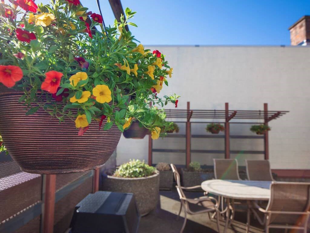 Community Courtyard at Metropolitan Collection Apartments, Washington, 98057