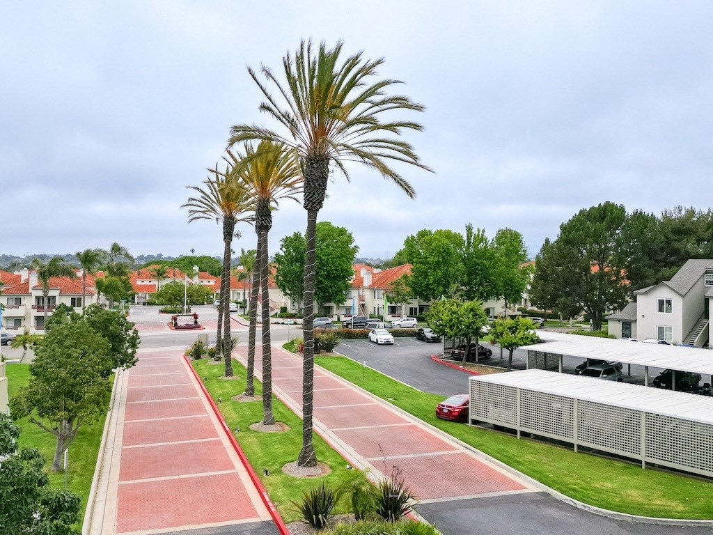 Palm Trees Lining the Entrance of Canyon Club Apartments