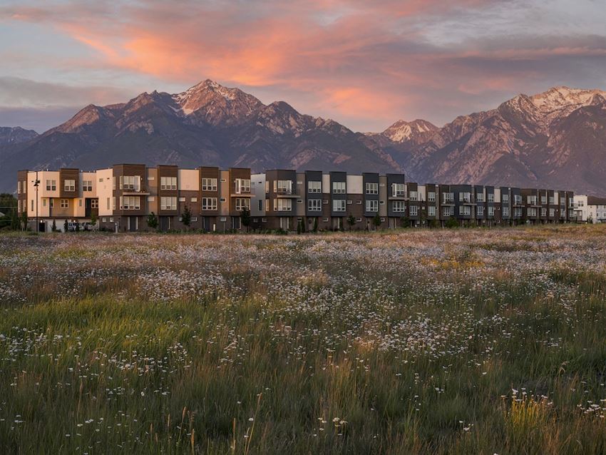 Grassy Field Around Townhomes at Parc View Apartments and Townhomes Midvale, UT 84047 Grassy Field Around Townhomes at Parc View Apartments and Townhomes Midvale, UT 84047 - Photo Gallery