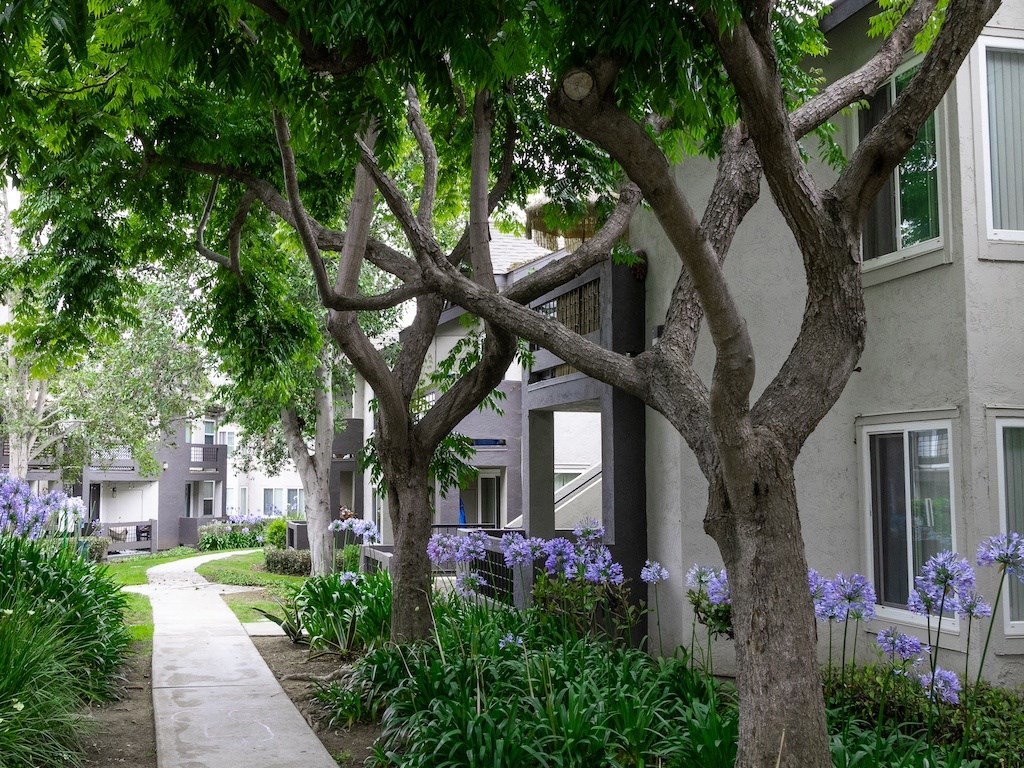 Green Pathways at Canyon Club Apartments