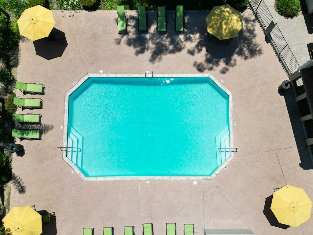 Heated Pool at Eucalyptus Grove Apartments California