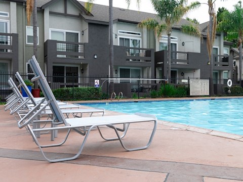 Poolside Lounging at Canyon Club Apartments