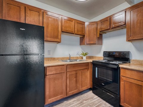 A black fridge and oven in a kitchen with wooden cabinets.