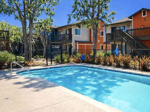 Swimming Pool at Village Grove