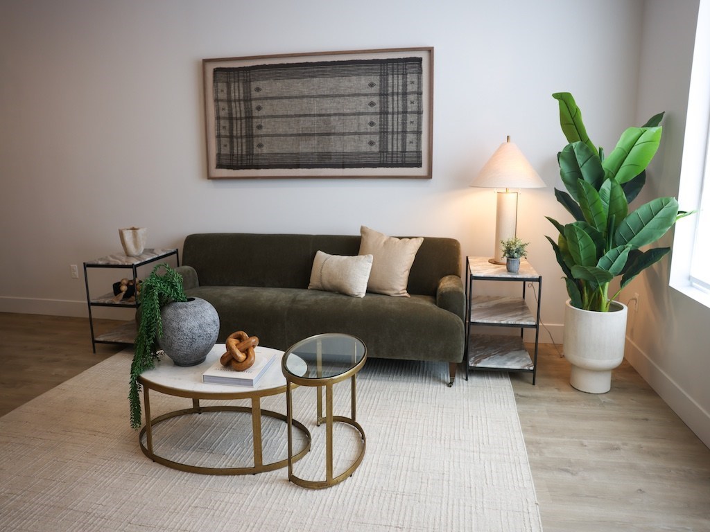 The Ash Apartments spacious Living Room