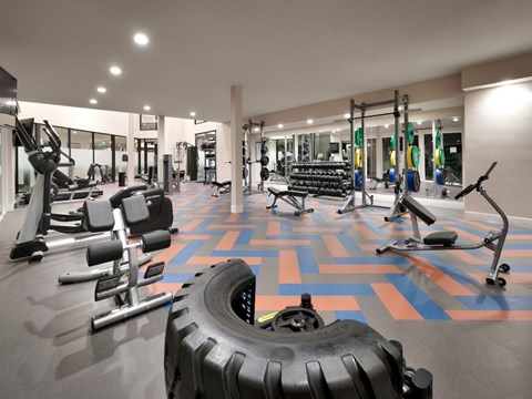 The Stack - Sugarhouse Apartments Gym with Elite Equipment