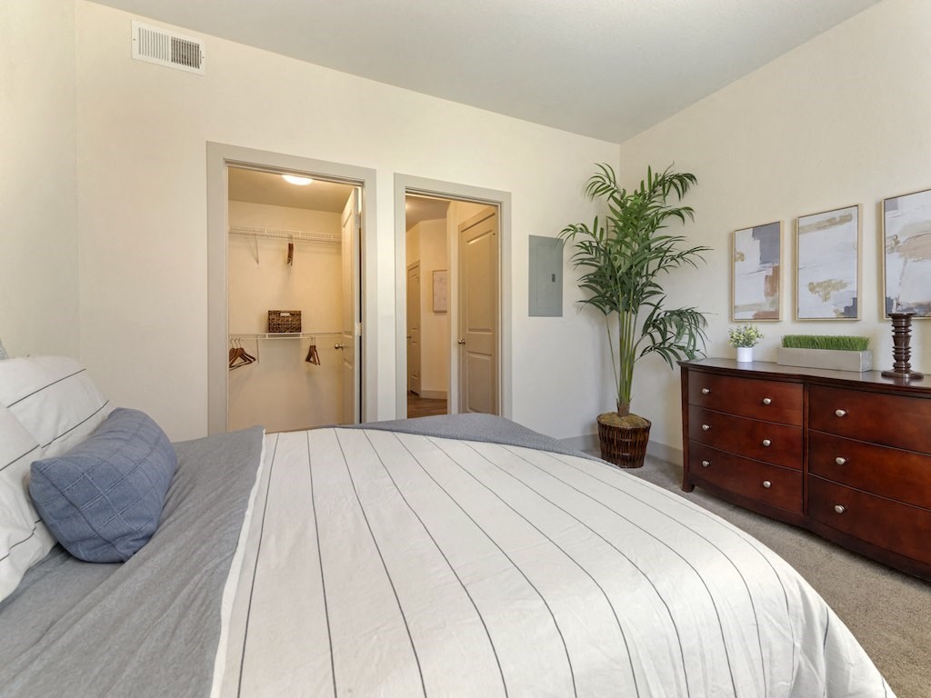 Large Primary Bedroom at Avena Apartments, CO