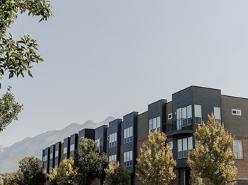 Trilevel Townhomes Exterior Townhomes at Parc at Day Dairy - Photo Gallery 4