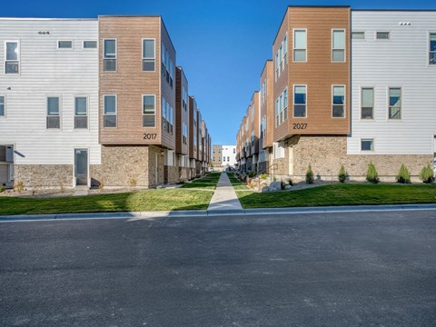 Walking Path through The Amber
