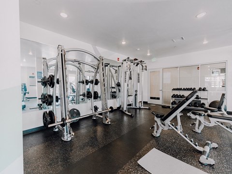 Workout Equipment at Veranda Apartments, Utah