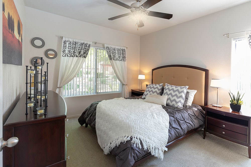 Well Decorated Primary Bedroom With Natural Light at Canyon Ridge Apartments, Arizona