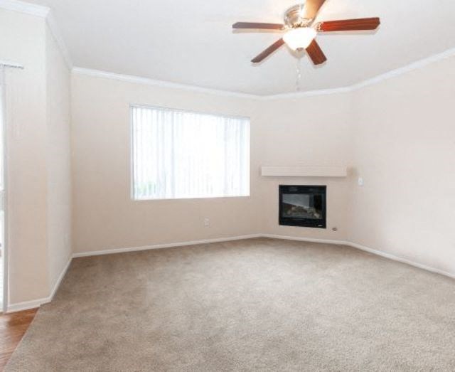 Living Room With Standard Fireplace at Echo Ridge Apartments, Castle Rock, 80108
