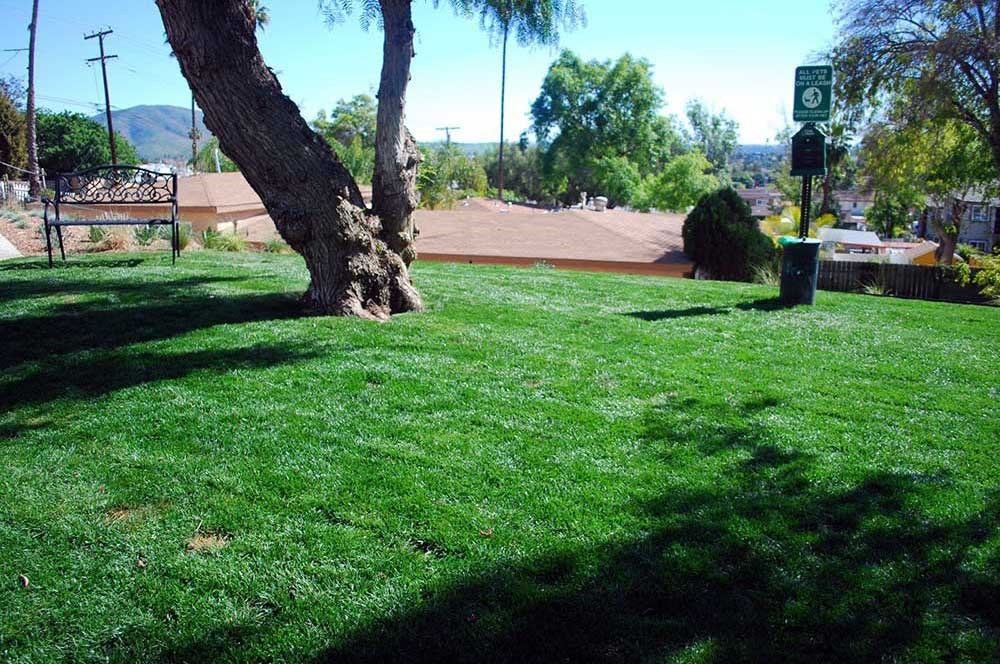 Peppertree Senior Apartments  Open Green Space - Spring Valley, CA 91977