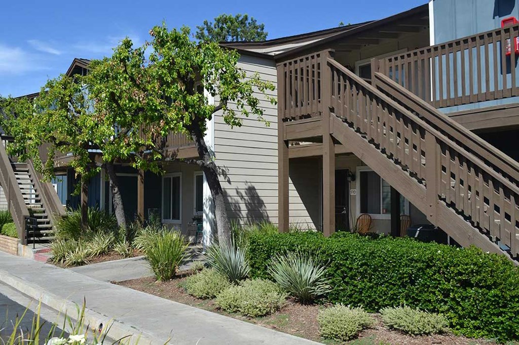 Sidewalk and Tree at Village Grove Apartments, California, 92025