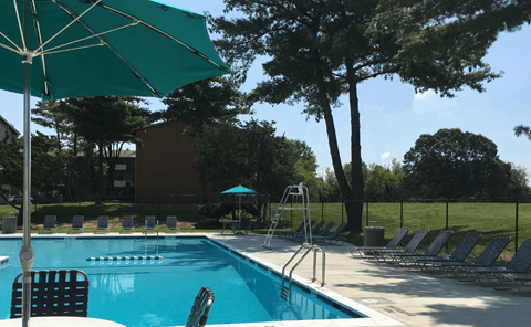 A pool with chairs and umbrellas is surrounded by trees The District at Forestville Apartments , Forestville, MD
