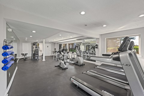 Two Level Fitness Center at The District at Forestville Apartments , Maryland, 20747