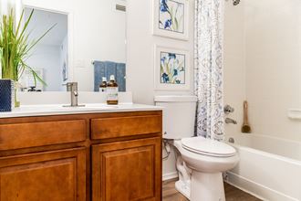 Luxurious Bathroom at Polo Run Apartments, ZPM, Yardly, 19067 - Photo Gallery 3