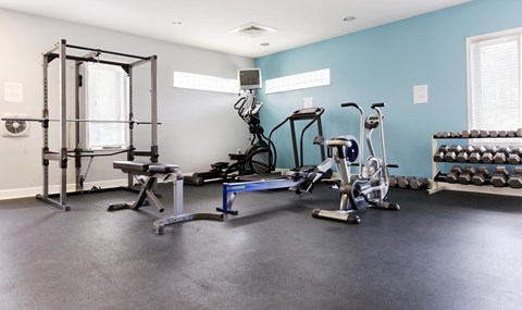 A home gym with a variety of equipment including a squat rack, treadmill, and weights.  Aviary Village Apartments, in Conway, SC 29526