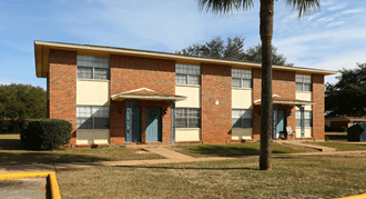 a brick building with blue doors and a palm tree in front of it
