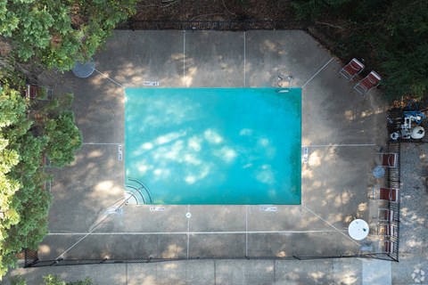 A swimming pool surrounded by trees and a concrete wall.