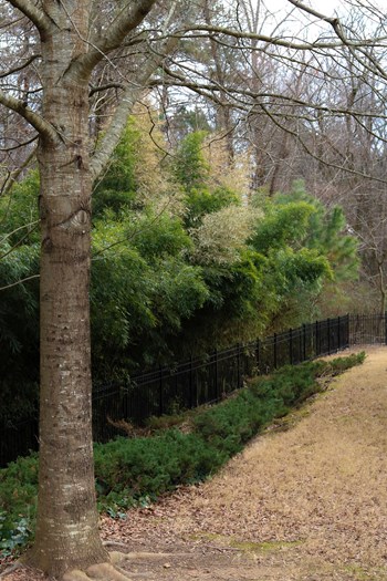 950 Harbins Rd NW 2-3 Beds Apartment for Rent - Photo Gallery 6