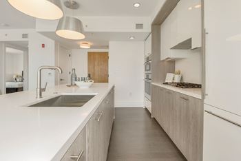 Sleek Tuxedo Kitchen Cabinets