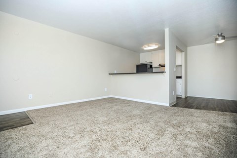 A spacious room with a carpeted floor and a white wall.