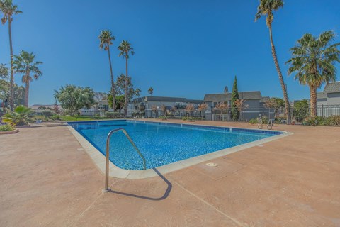 A pool surrounded by palm trees and a building in the background.