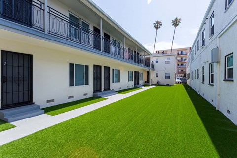 Courtyard grass area
