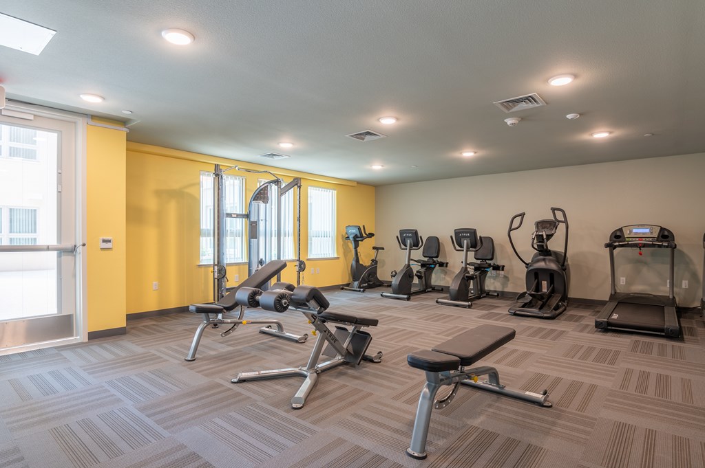 A gym with a variety of equipment including treadmills, weights, and exercise machines.
