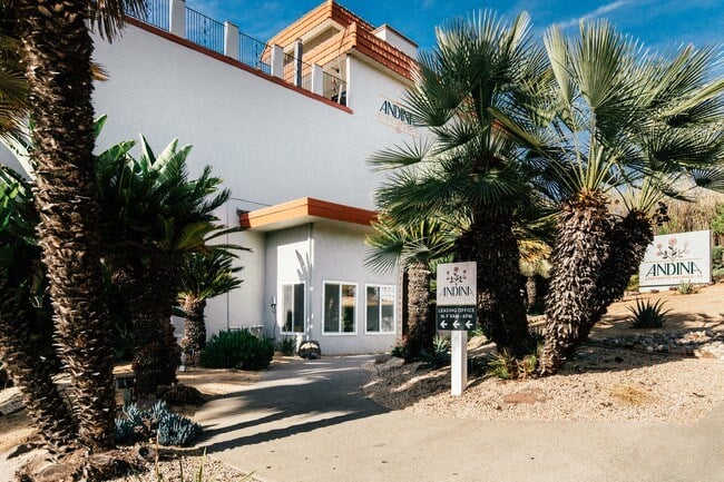Walkway surrounded by palm trees leads to apartment building