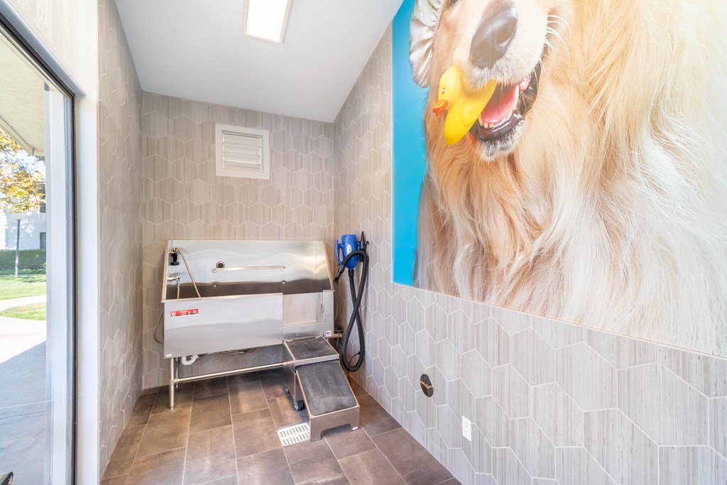A dog grooming station with a large image of a golden retriever on the wall. at Chaparral Apartments, Palmdale, CA