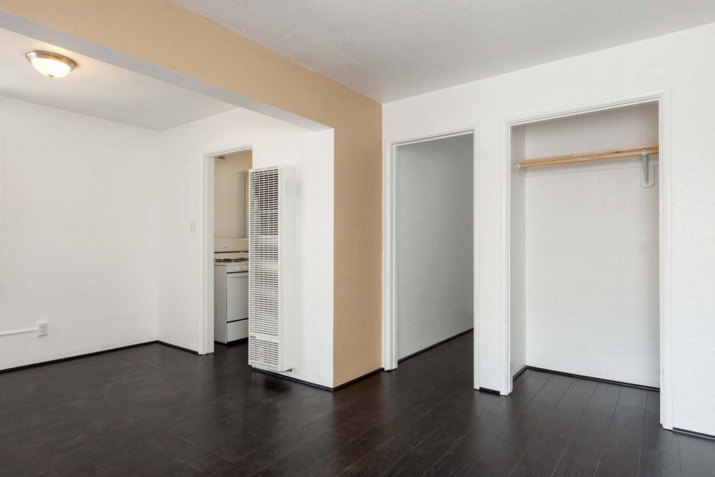 Closet view from living space