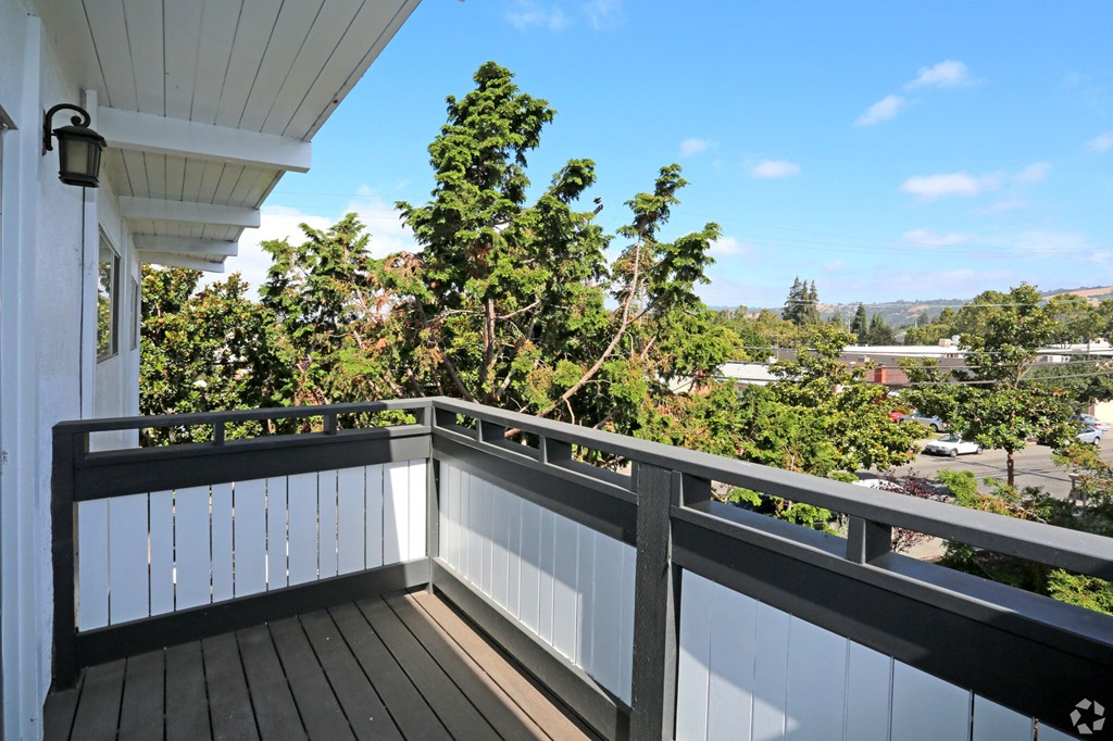 Apartment Interior Balcony Black Railings  and white Panels.