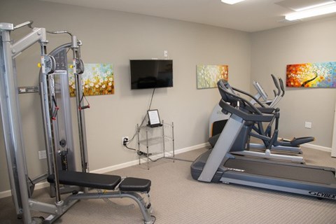 A home gym with a treadmill, a weight bench and a television.