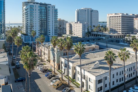 A view of a city street with palm trees and buildings.