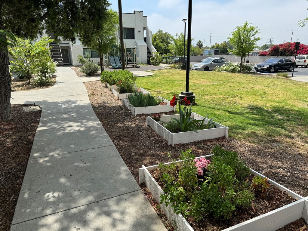 a sidewalk in front of a garden with plants