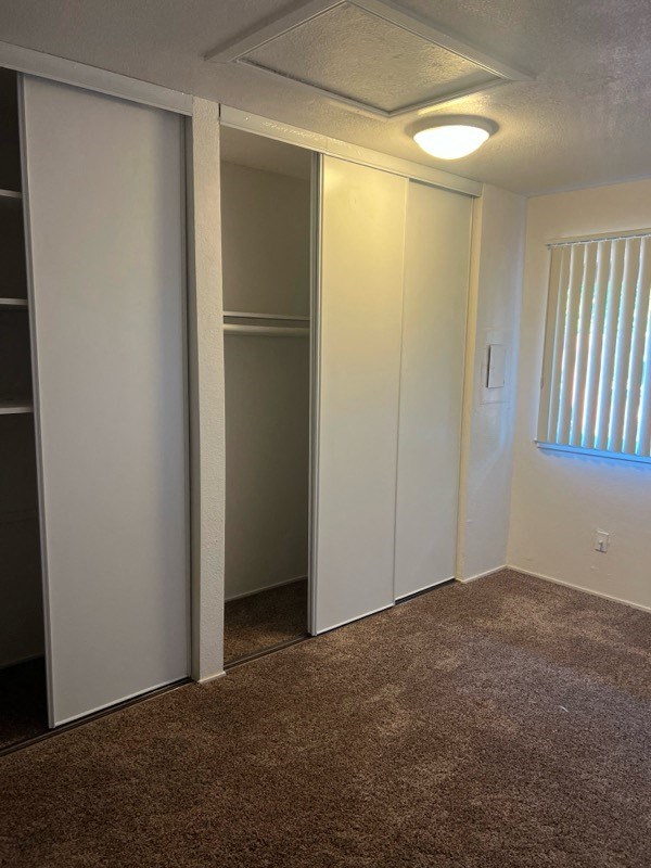 a carpeted room with three closets and a window