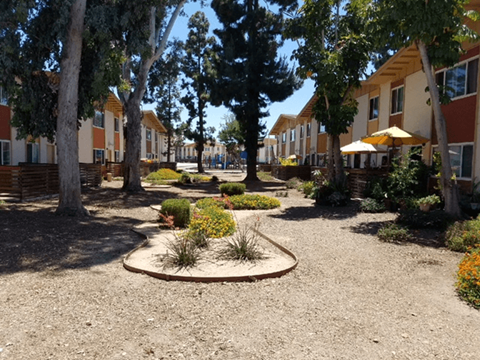 Common area landscape