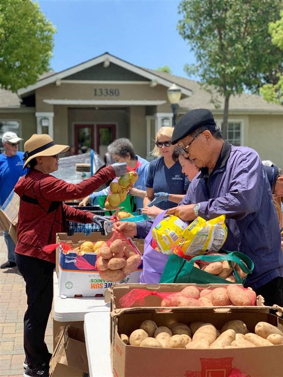 a group of people standing around a table of fruits and vegetables