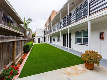 Courtyard grass area Courtyard grass area - Photo Gallery 2
