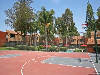 Basketball Court - Photo Gallery 5