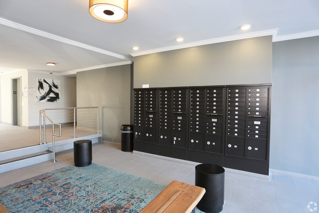 A room with a large black cabinet and a blue rug on the floor.